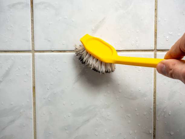 Best Mold Remediation Services  in Skyline View, PA