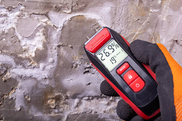 Best Commercial Mold Removal  in Skyline View, PA
