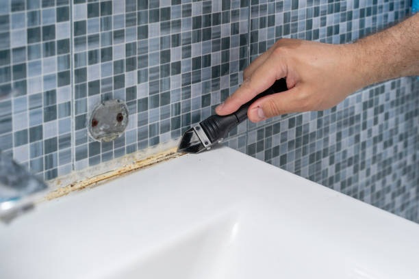 Best Emergency Mold Removal  in Skyline View, PA