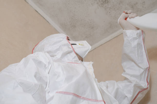 Best Professional Mold Removal  in Skyline View, PA